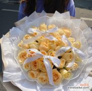 探寻香槟花的意义 香槟花语与寓意