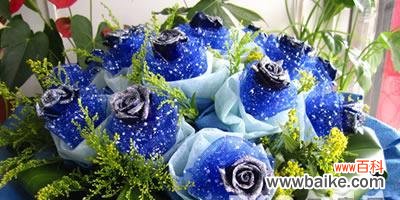 传递深情 以蓝色妖姬的花语赠送心爱之人