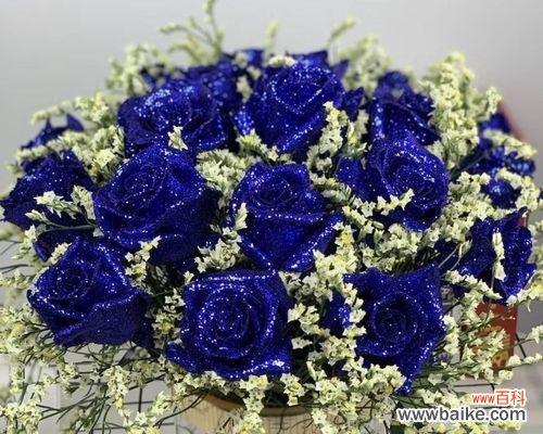 传递深情 以蓝色妖姬的花语赠送心爱之人