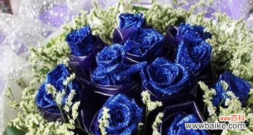 揭开蓝色妖姬的寓意之谜 花色妖姬的花语