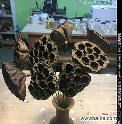 探寻莲蓬在风水中的奥秘 以莲蓬的寓意和象征风水