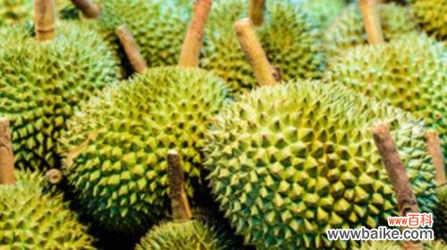 榴莲的象征意义与文化影响力 榴莲