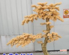 迎客松代表什么 迎客松