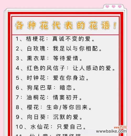 探寻睡莲的象征意义与魅力 睡莲