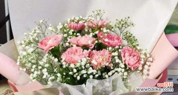 以花言巧语表达对母亲的感激之情 用鲜花传递母亲节的爱