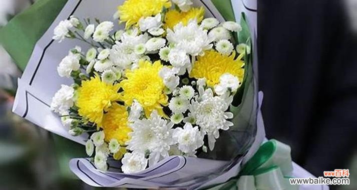 百合花的寓意与传承 清明节花祭承载情思