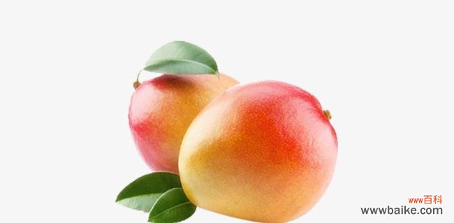 揭秘芒果与生肖的神秘关系 芒果代表的生肖是什么