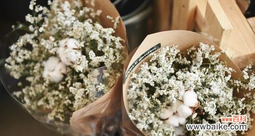 一束花 满天星花语