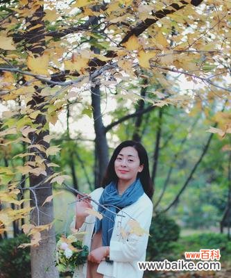 探索银杏叶子的秘密 银杏叶子花语-生命与希望的象征