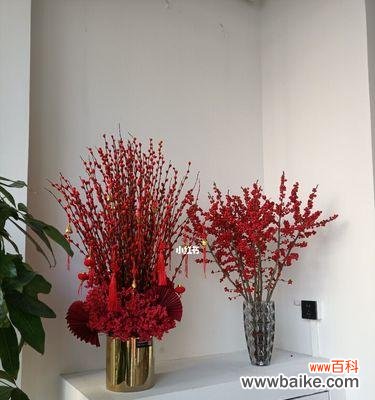 银柳的象征意义与人文价值 银柳