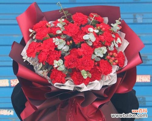 四种花朵揭示的爱情密码 花语传情