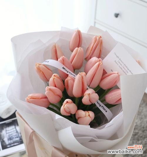 探寻郁金香花语的深层含义 郁金香25朵花语