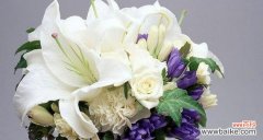 赋予生命希望与纯洁之花的百合 百合花的美好寓意与适合赠送的对象