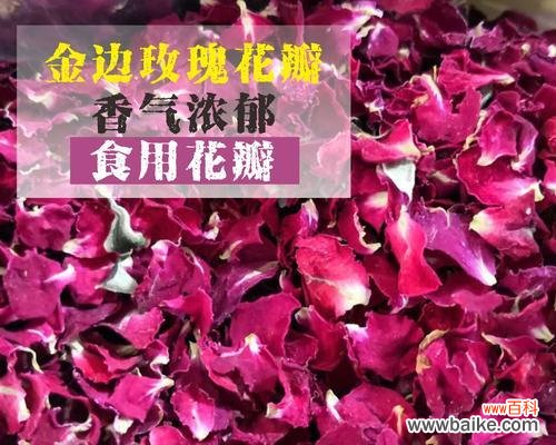 云南小玫瑰 探寻云南小玫瑰的独特魅力