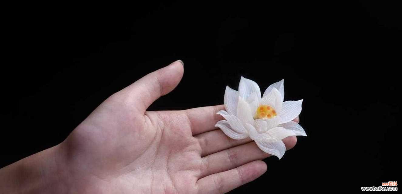 纯洁无暇 白色莲花的花语和象征意义