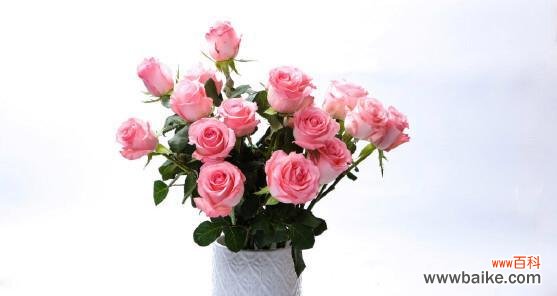 传递爱意和祝福的花朵 戴安娜玫瑰花语的魅力