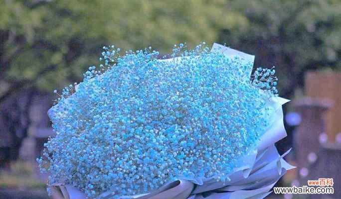 用花语传递爱意 思念之花-用百合花传达对爱人的深思念