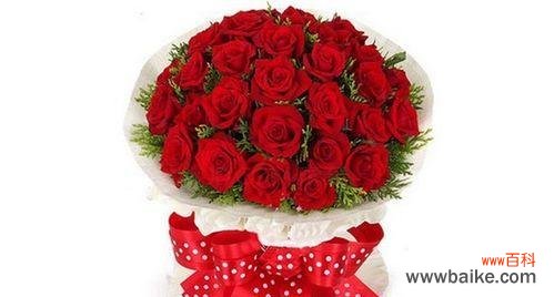 植物之间的友谊与繁荣 富贵竹与银柳的和谐共生之寓意