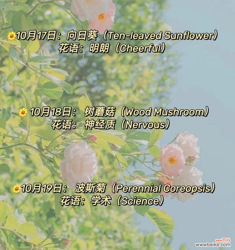 以花语传递健康的生命力 花言巧语