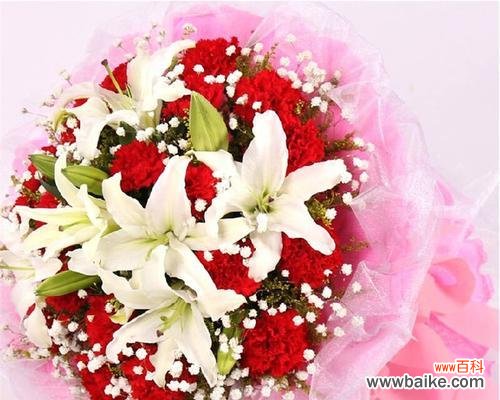 解读康乃馨19朵 康乃馨19朵的寓意与象征意义