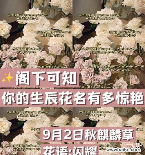 传承古老文化的花卉之灵感受芬芳气息的居家良伴 兰花的风水寓意与摆放位置