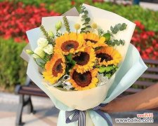 花开花落间 花语中的友情