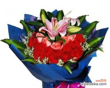 传递爱与温暖的康乃馨花语 十一朵康乃馨的象征意义及美好寓意