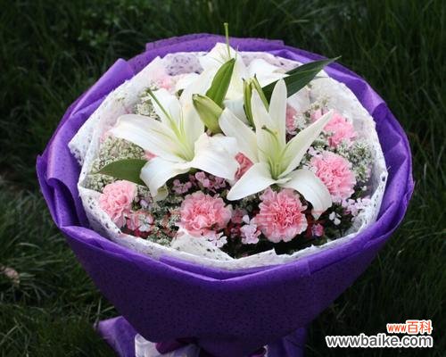 传递爱与温暖的康乃馨花语 十一朵康乃馨的象征意义及美好寓意