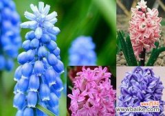 以向日葵为使者的生命的助推者 鼓励与希望花开