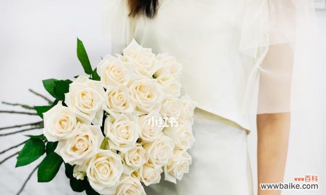 探索芬德拉玫瑰的花语之美 芬德拉玫瑰花语