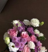 美丽 以粉佳人玫瑰代表的含义