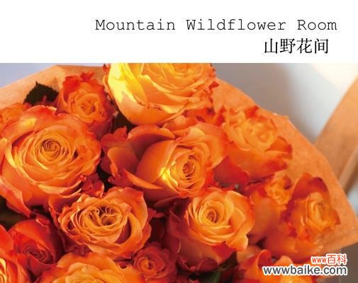 探寻复色玫瑰的深刻花语 复色玫瑰花语之美丽与神秘