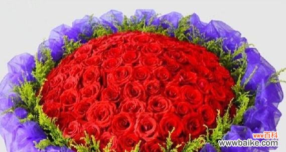 传承千年的雅致之花 解读以鹤望兰的象征意义