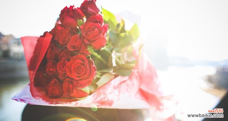 浪漫爱情的象征 红玫瑰与粉玫瑰