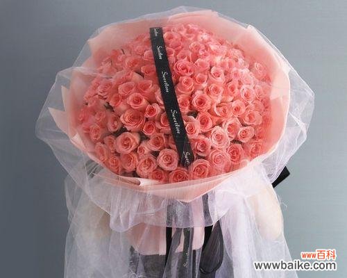 浪漫爱情的象征 红玫瑰与粉玫瑰