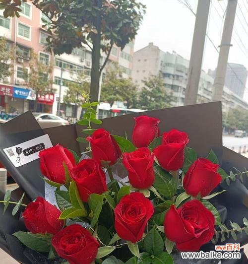 探索红绣玫瑰的花语与意义 红绣玫瑰花语