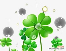 探寻四叶草背后的象征意义 四叶草的神奇寓意