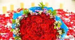 传递情感的花朵 四朵玫瑰的花语