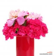 插枝牡丹 花瓶里的牡丹，寓意与美丽共舞