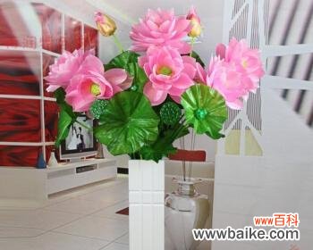 探索荷花寓意与花瓶的象征意义 花瓶插枝荷花，寓意深远