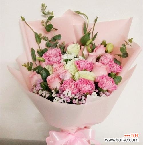 传递爱与敬意的康乃馨花 康乃馨花的含义及象征意义