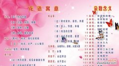 赏析绣球花的花语寓意 绣球花花语