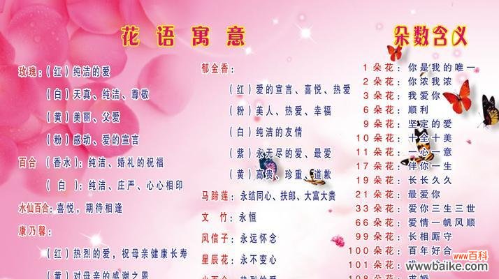 赏析绣球花的花语寓意 绣球花花语