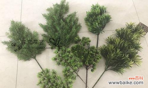 追寻永恒的生命之道 松柏的象征意义