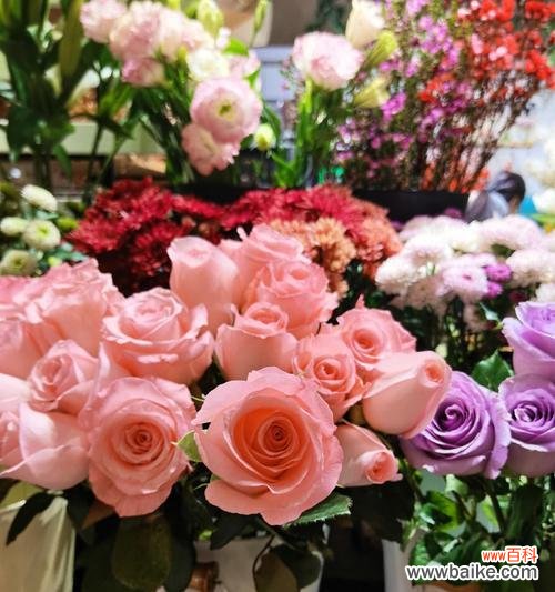 用花语诠释爱与祝福 鲜花的花语