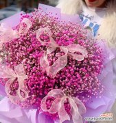 星光闪耀 满天星花语