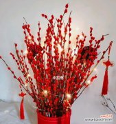 探寻银柳的神秘与魅力 银柳之美——自然与希望的象征