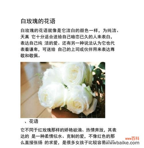 探索影星们对玫瑰花的情感与传达方式 玫瑰花语