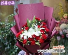 四种花的意义及象征 花语之美——百合、康乃馨、情人草、玫瑰的寓意