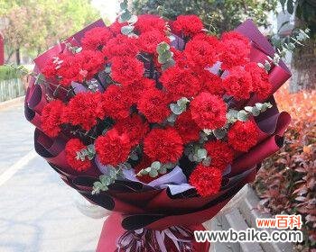 四种花的意义及象征 花语之美——百合、康乃馨、情人草、玫瑰的寓意